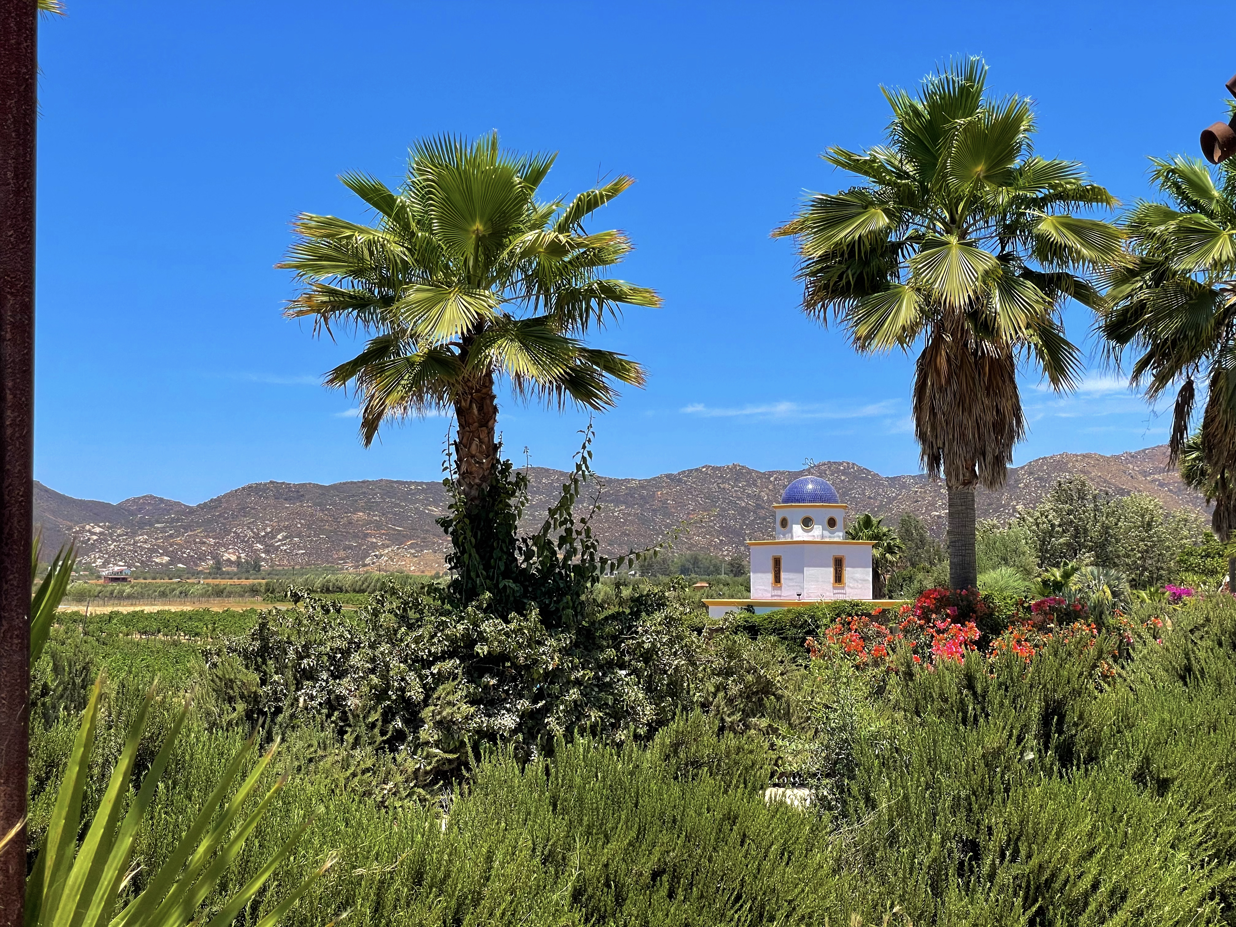 4-Days In Mexico’s Beautiful Wine Region – Valle de Guadalupe