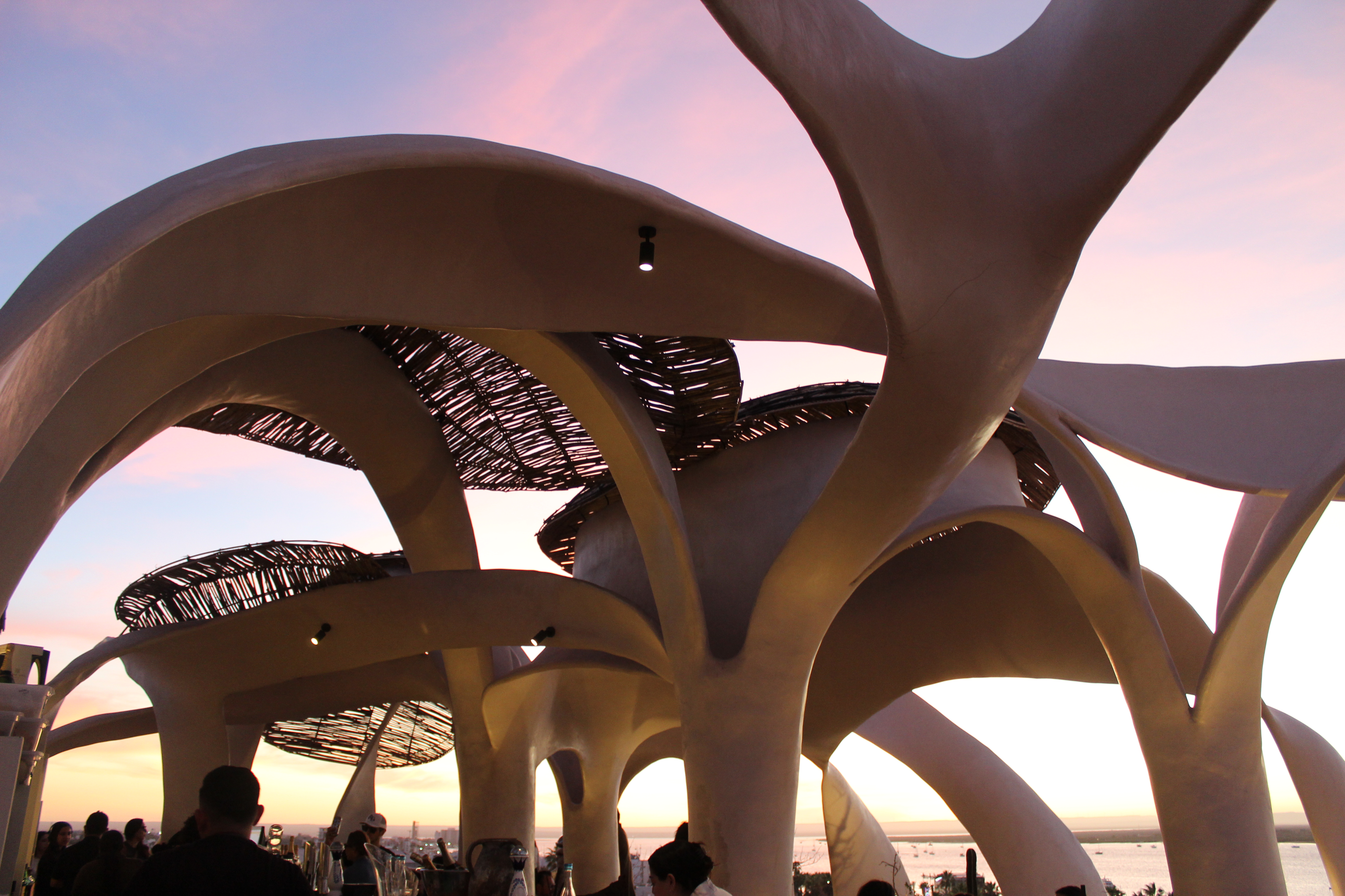 Republica Pagana Review: The Chic New Boutique Hotel in La Paz, Mexico