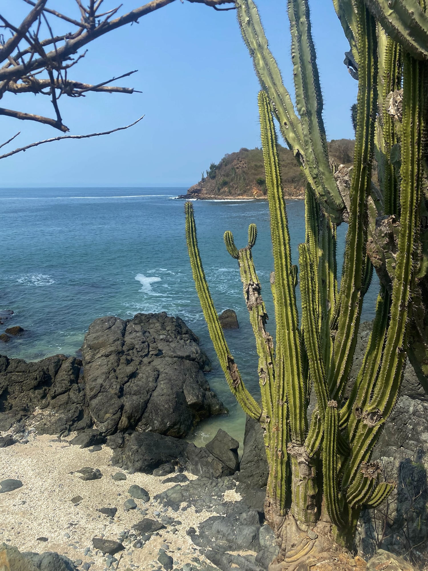 Ixtapa Island:  Everything You Need To Know To Have The Best Day Trip