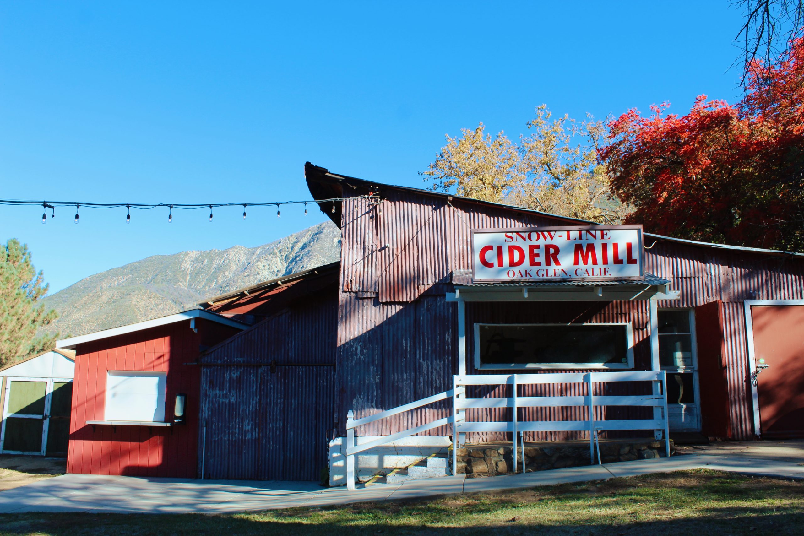 Fall in Oak Glen: How to Spend the Perfect Cozy Day Filled With Apples, Cider & Mountain Charm