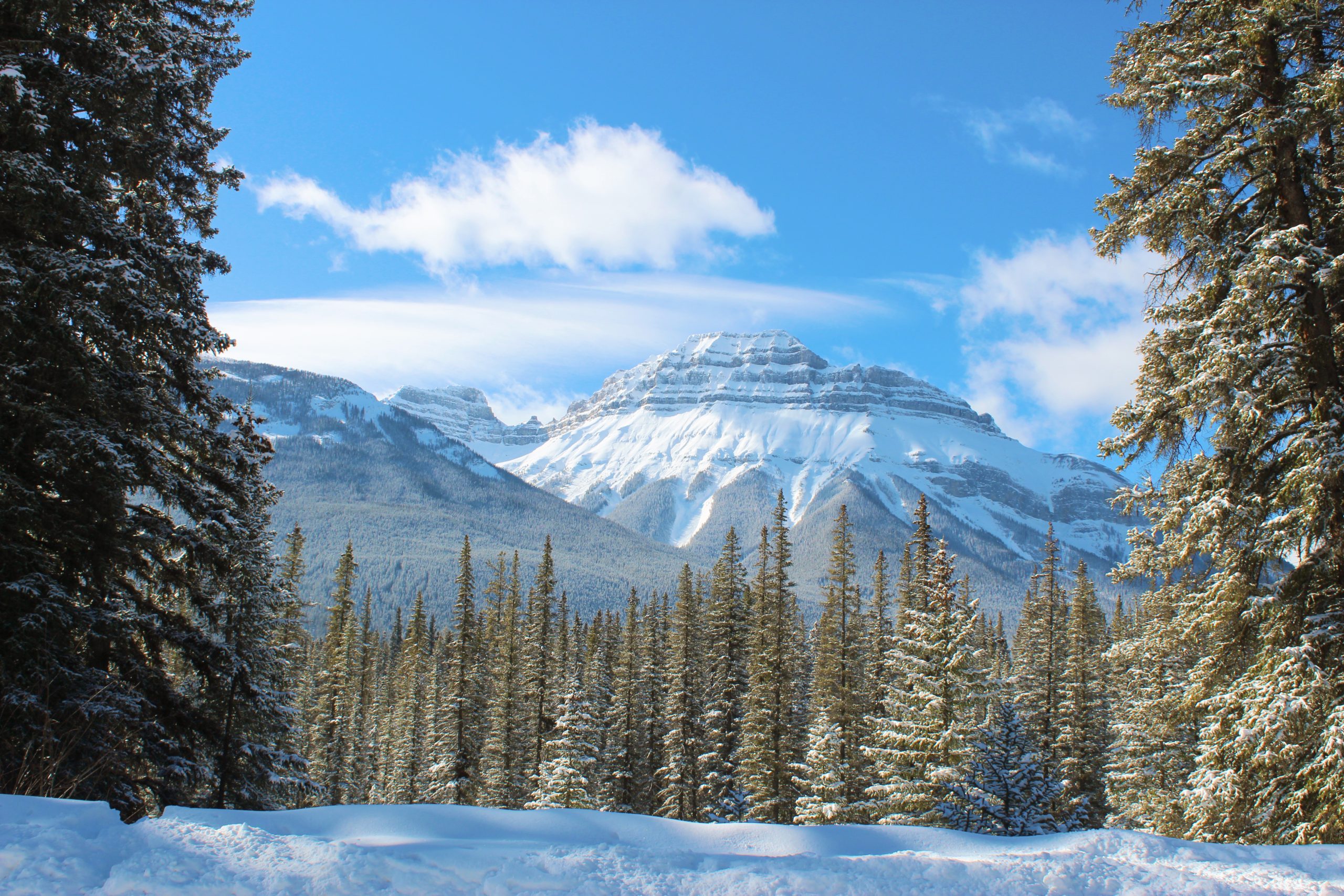 banff winter activities