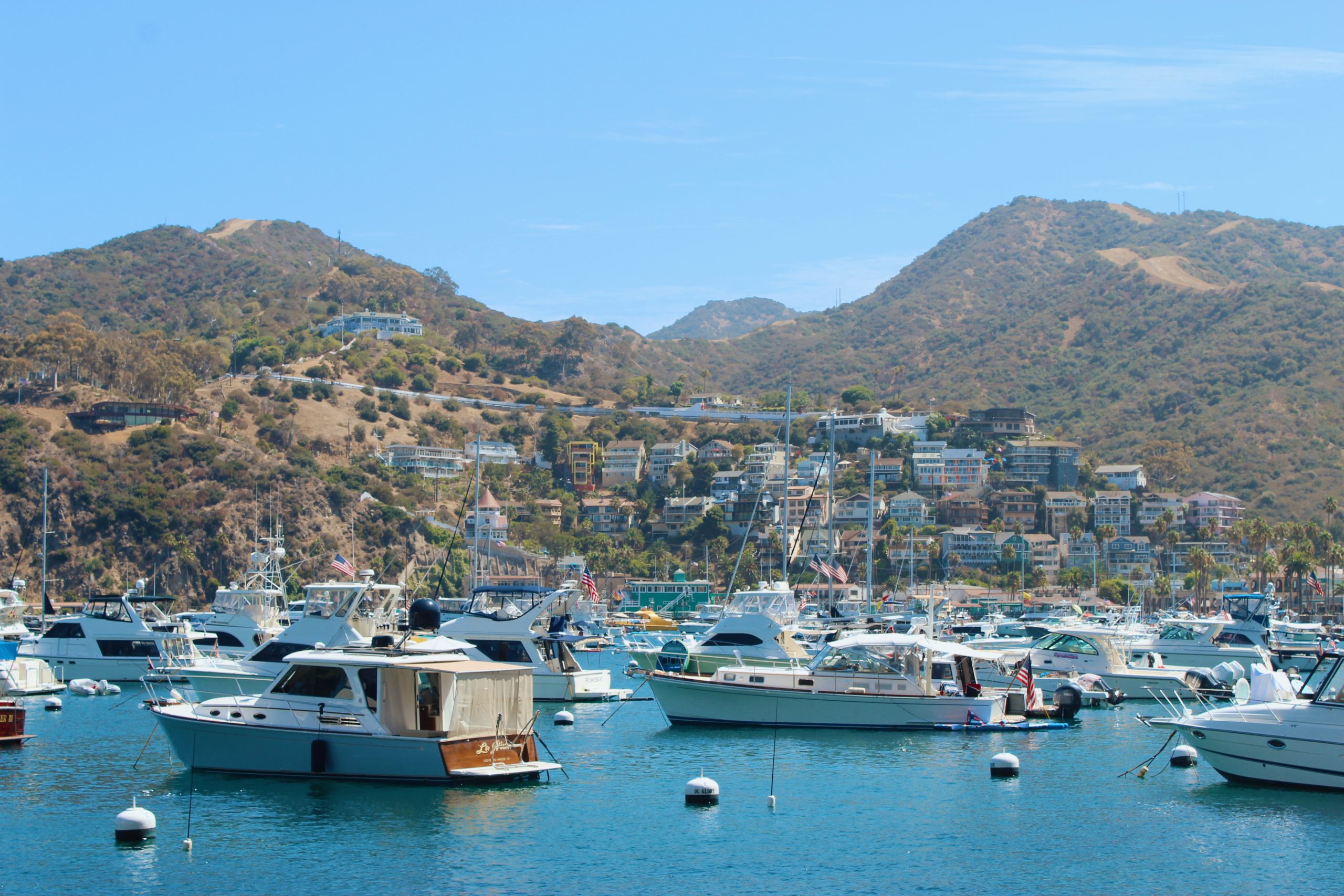12 Things to Do on Catalina Island That Will Make You Fall in Love 1 things to do on catalina